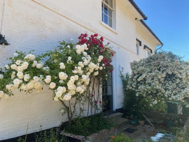 Old Rectory - Scoulton Apartment Great Ellingham Exterior photo